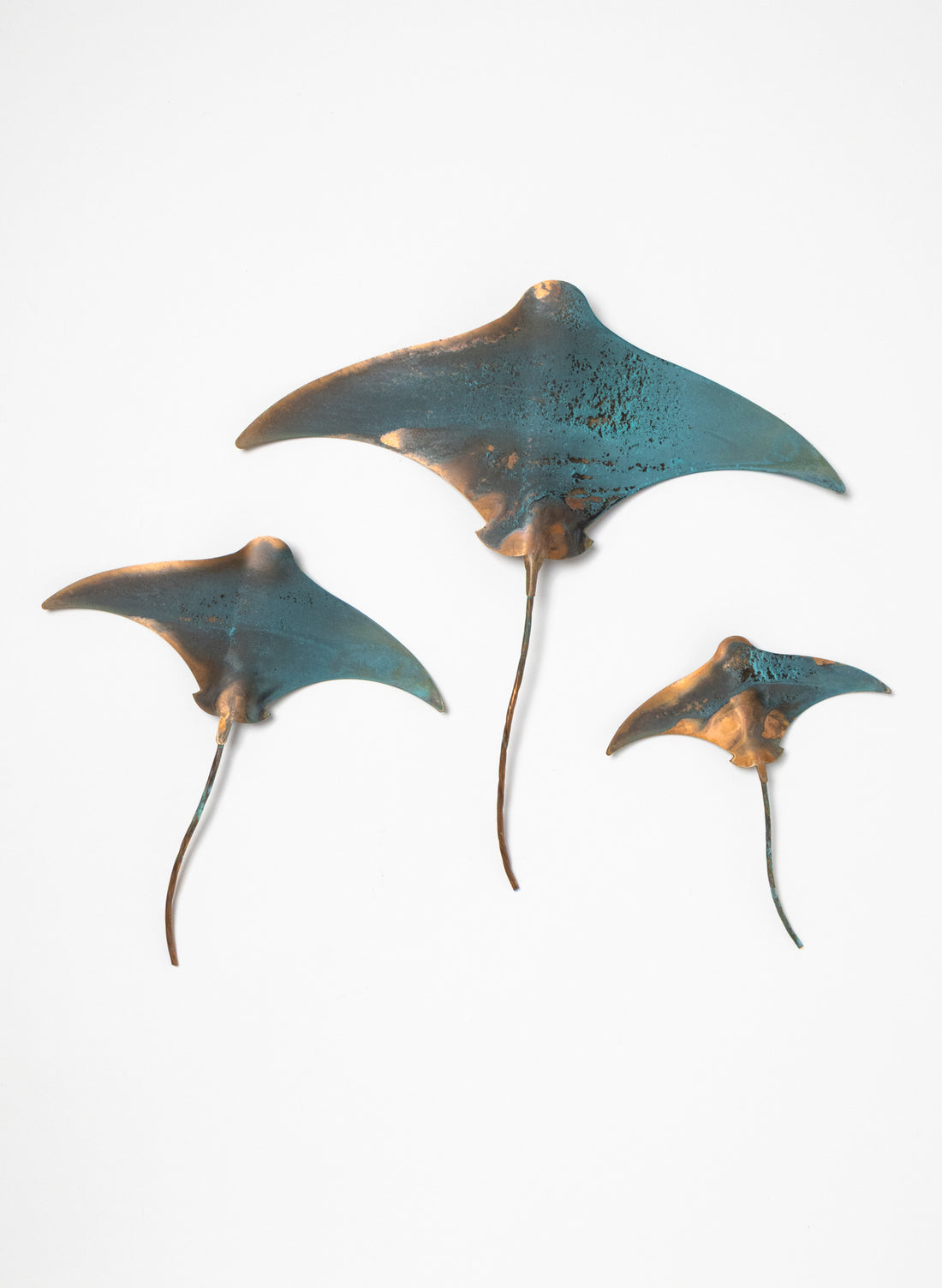 Stingray - Set of 3