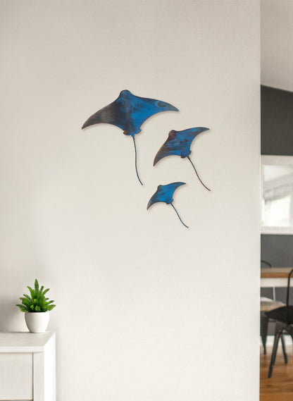 Stingray - Set of 3
