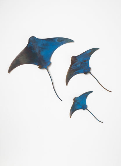 Stingray - Set of 3