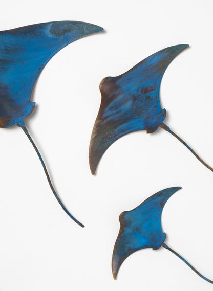 Stingray - Set of 3