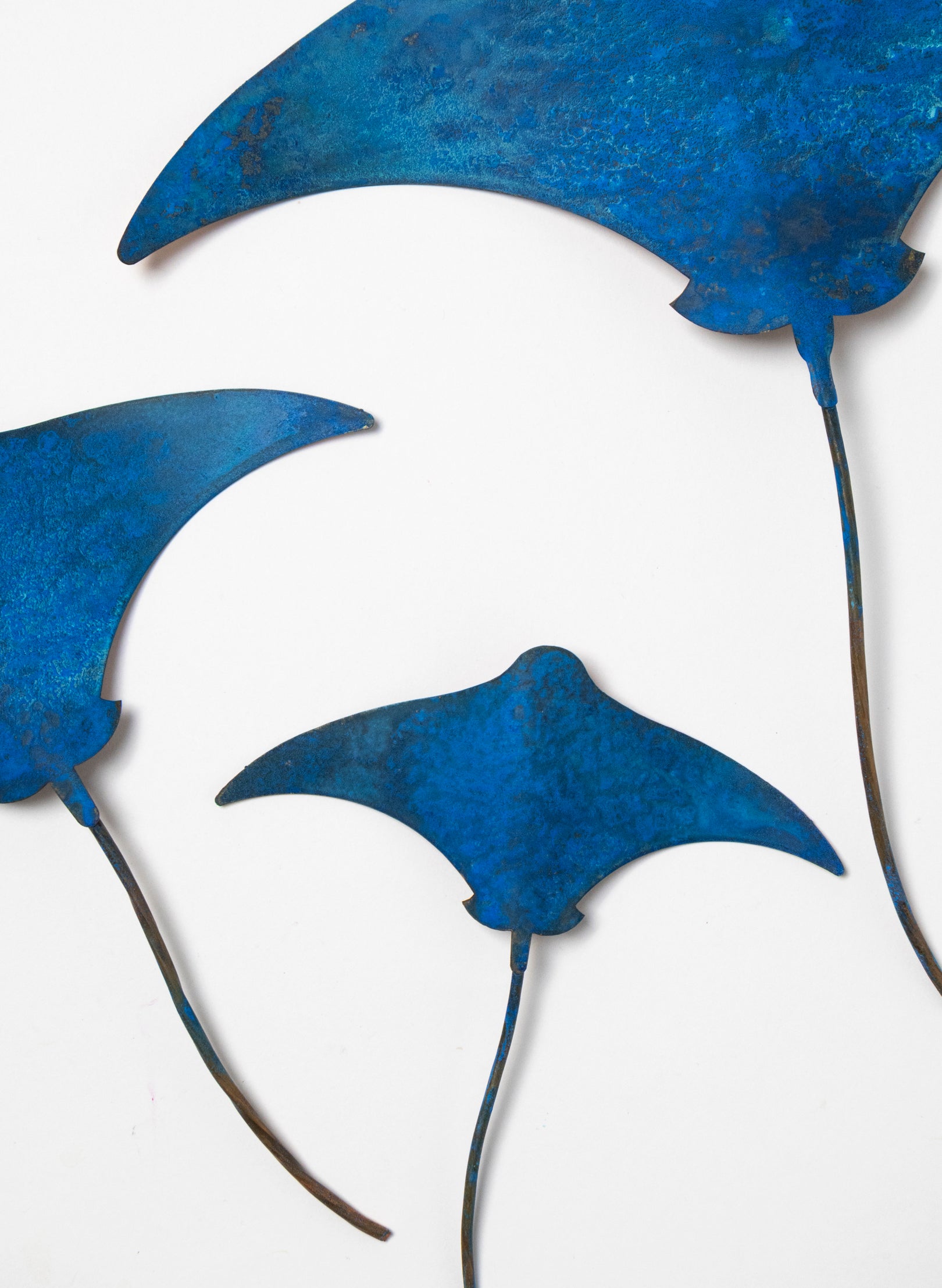 Stingray - Set of 3