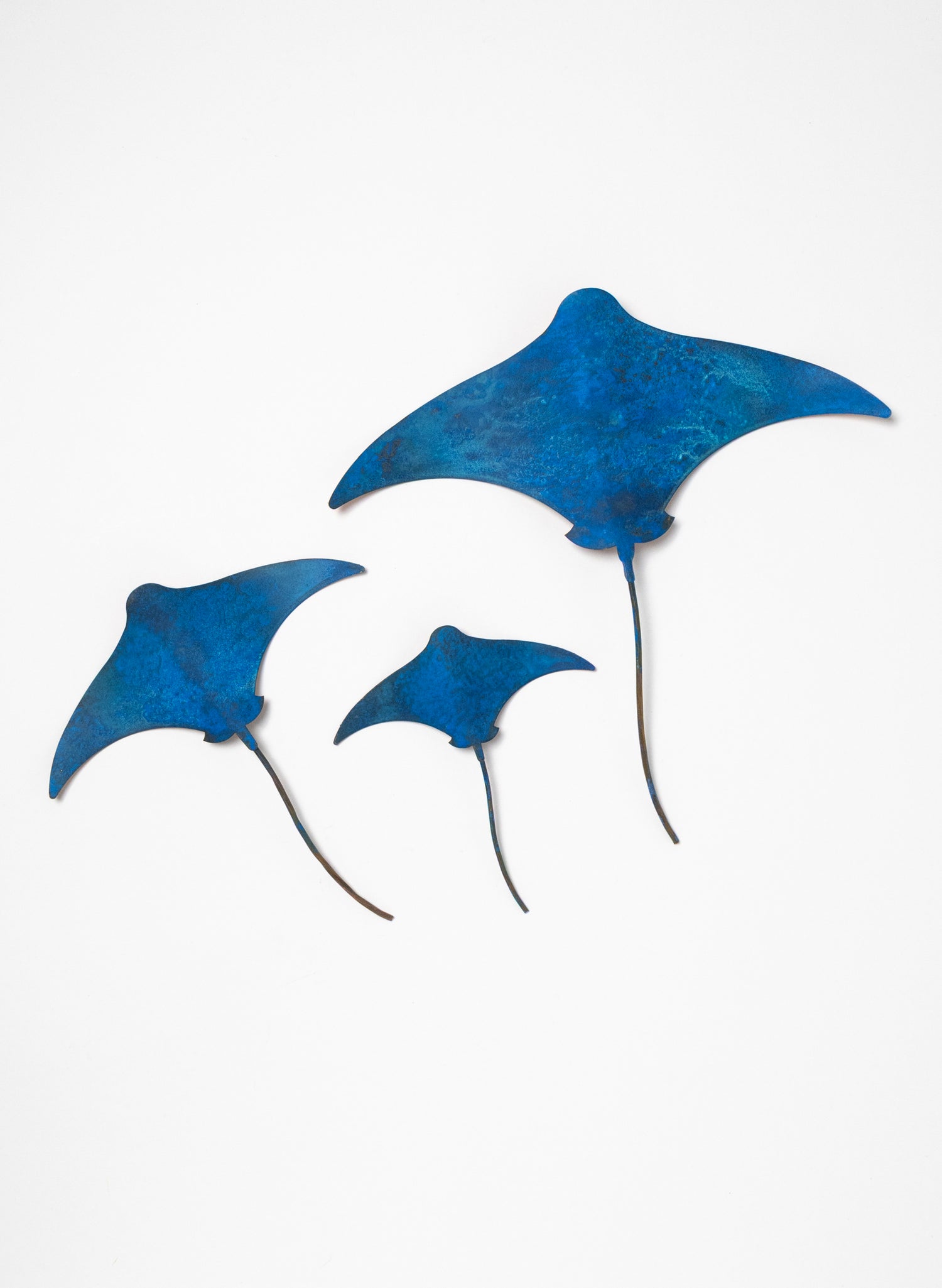 Stingray - Set of 3