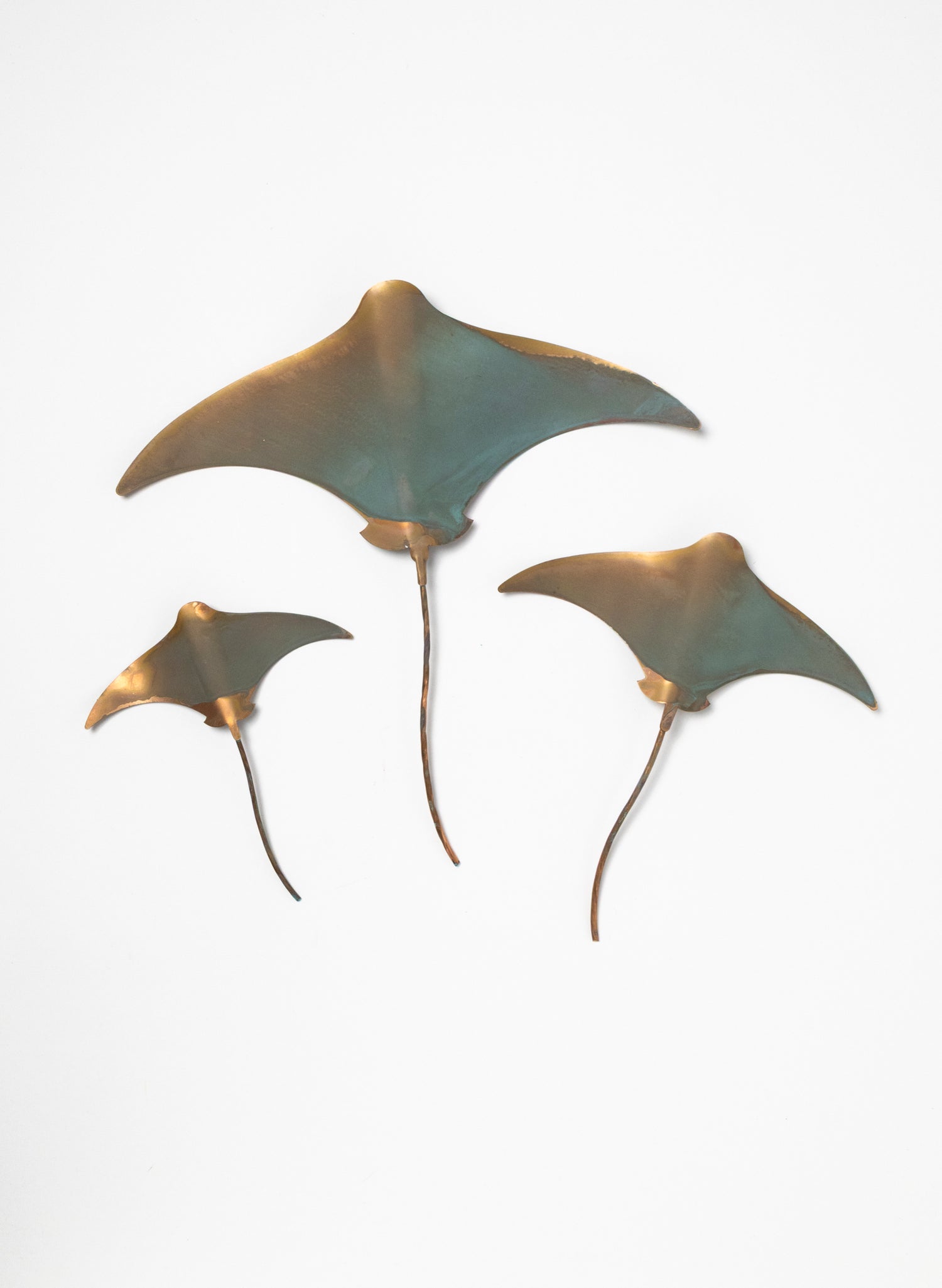 Stingray - Set of 3