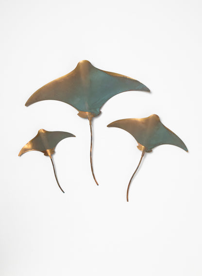 Stingray - Set of 3