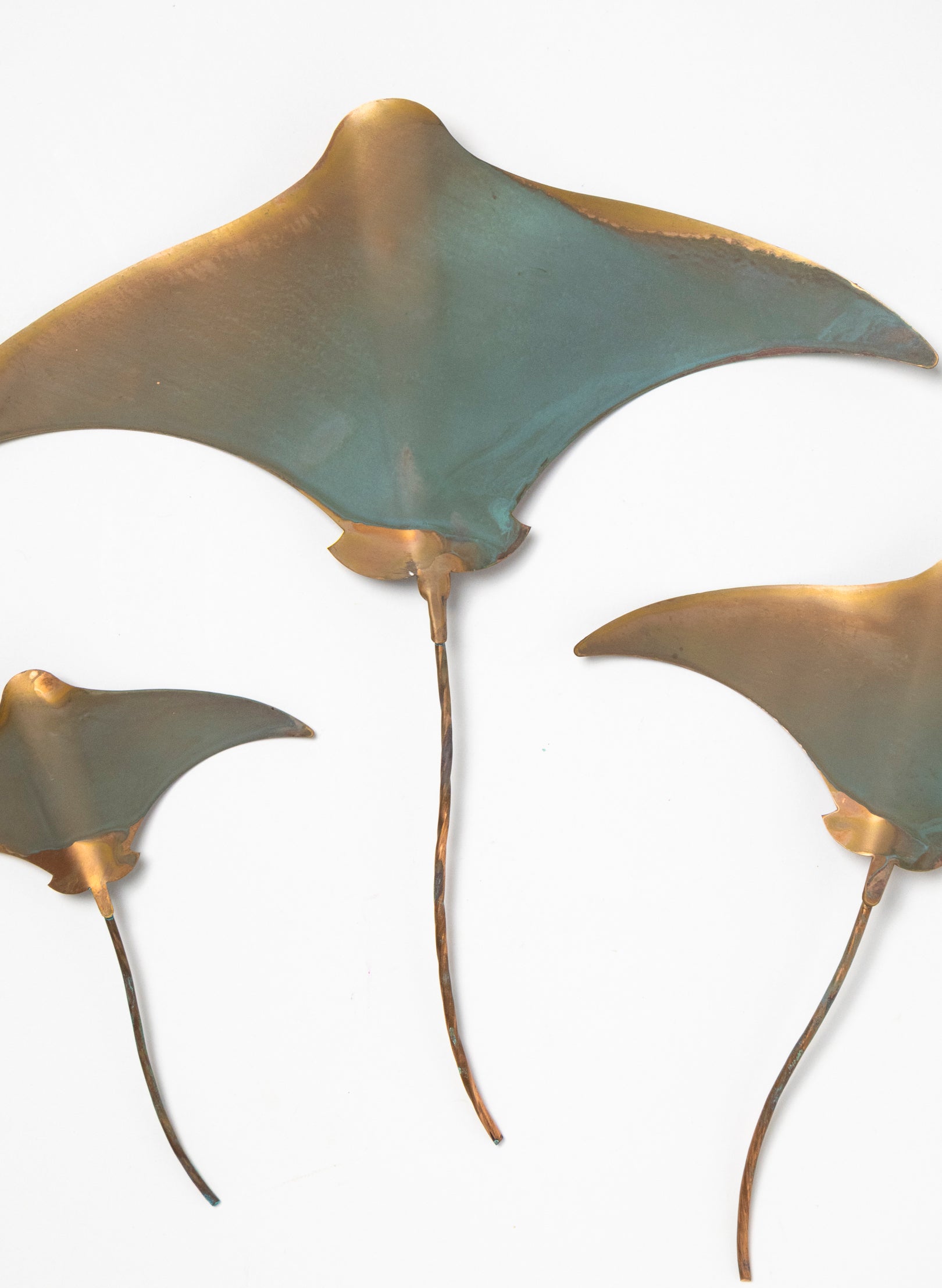 Stingray - Set of 3