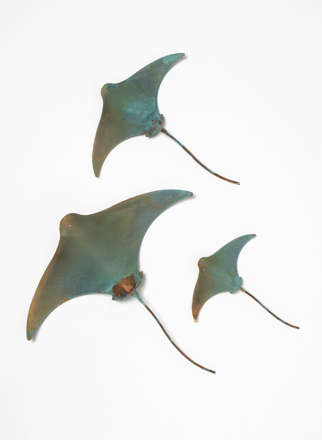 Stingray - Set of 3