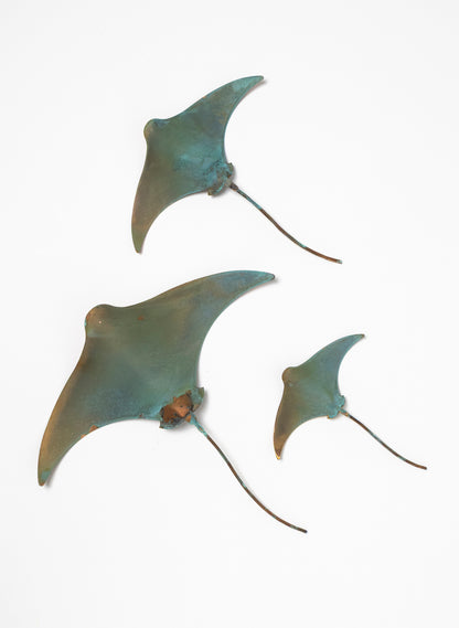 Stingray - Set of 3
