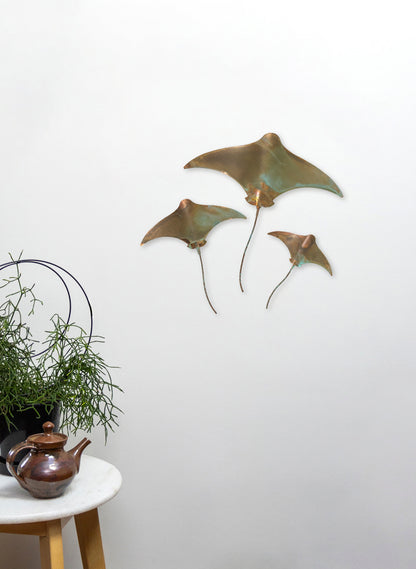 Stingray - Set of 3