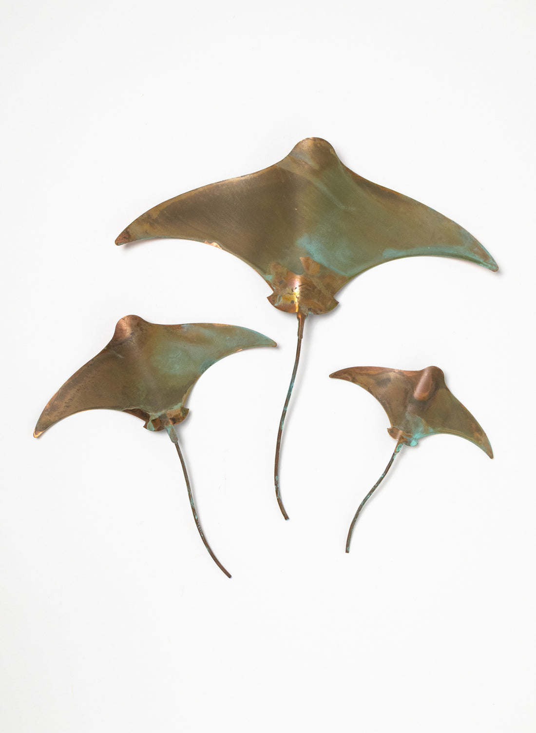 Stingray - Set of 3