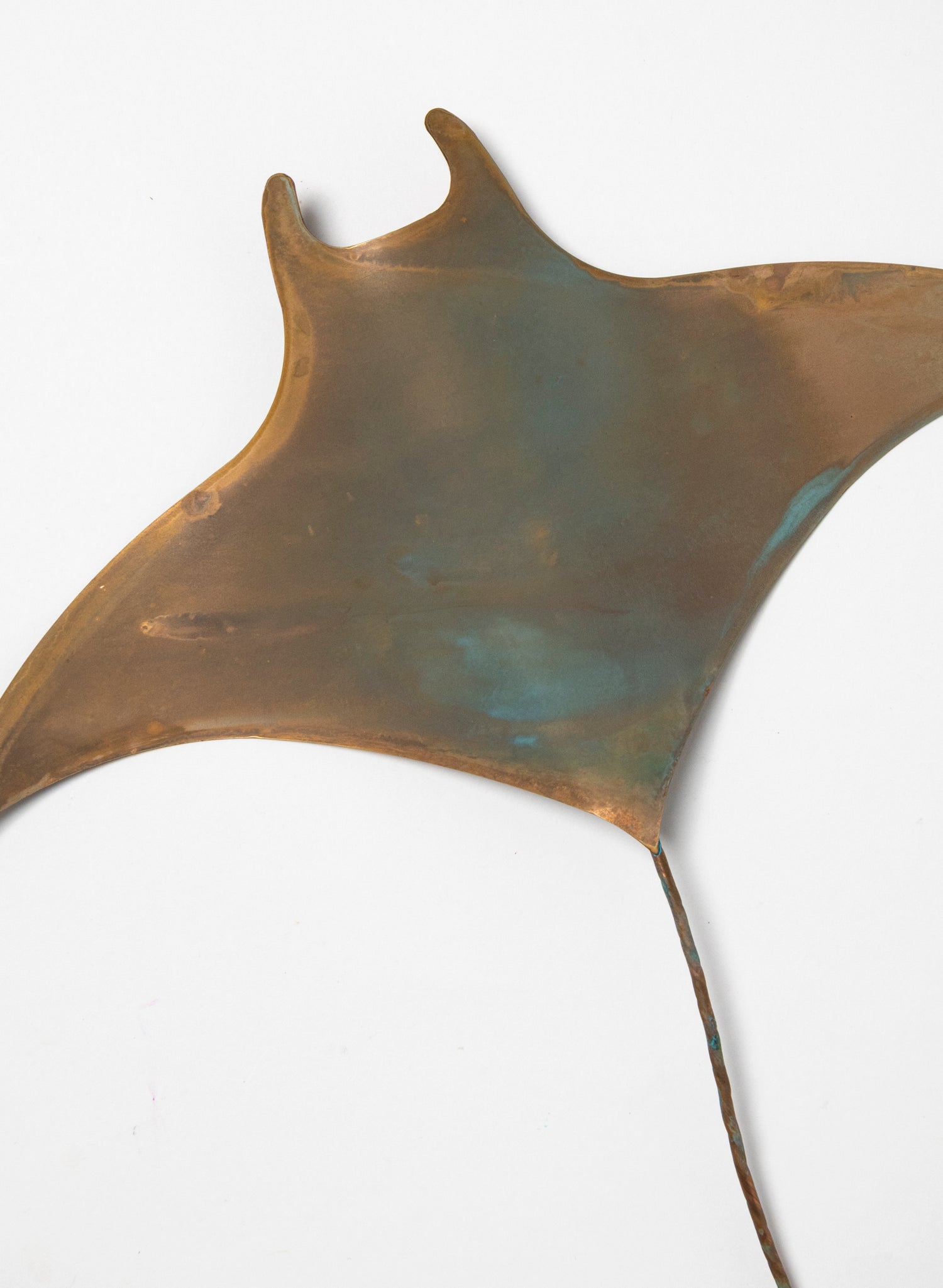 Manta Ray - Large