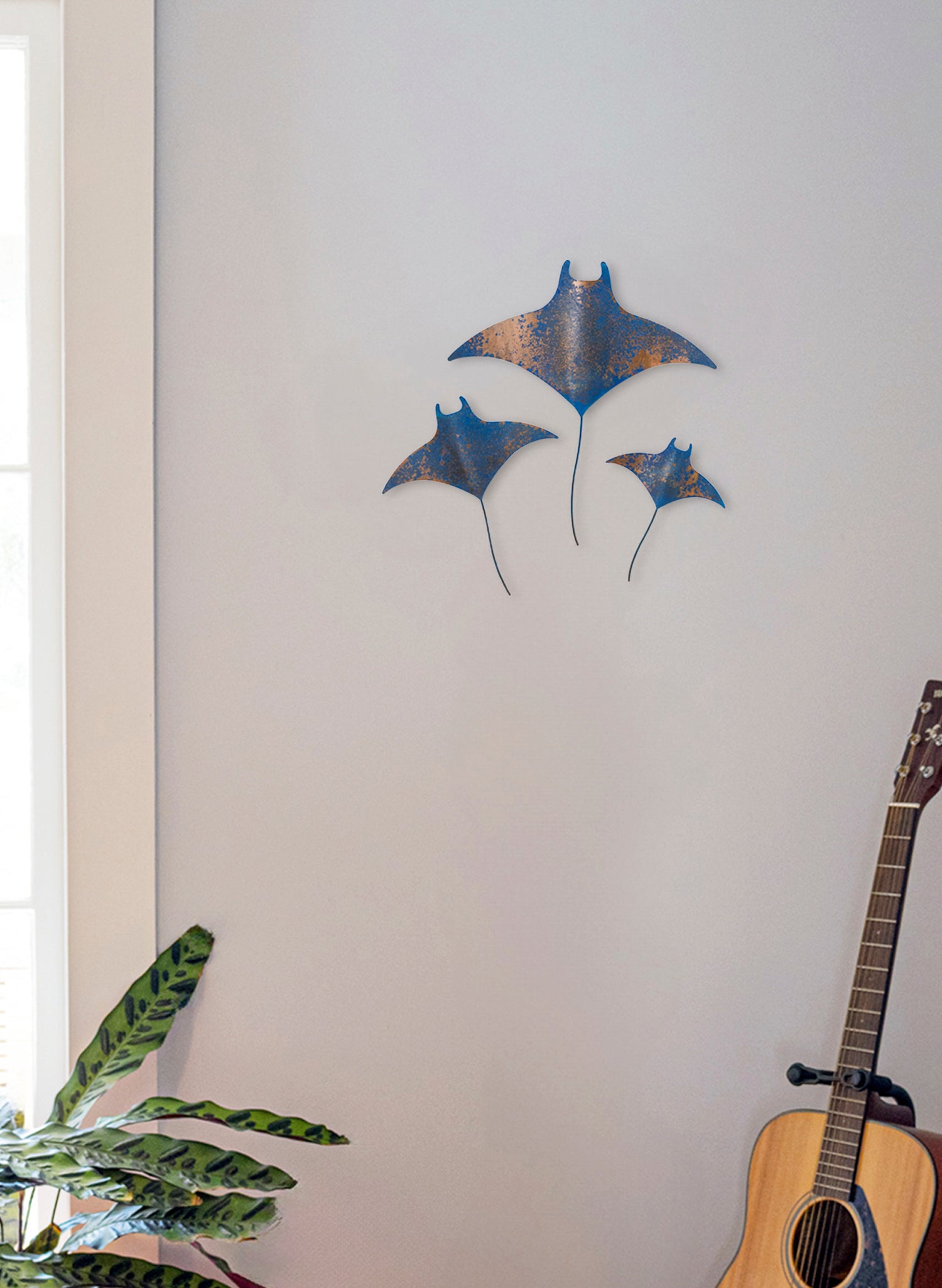 Manta Ray - Set of 3