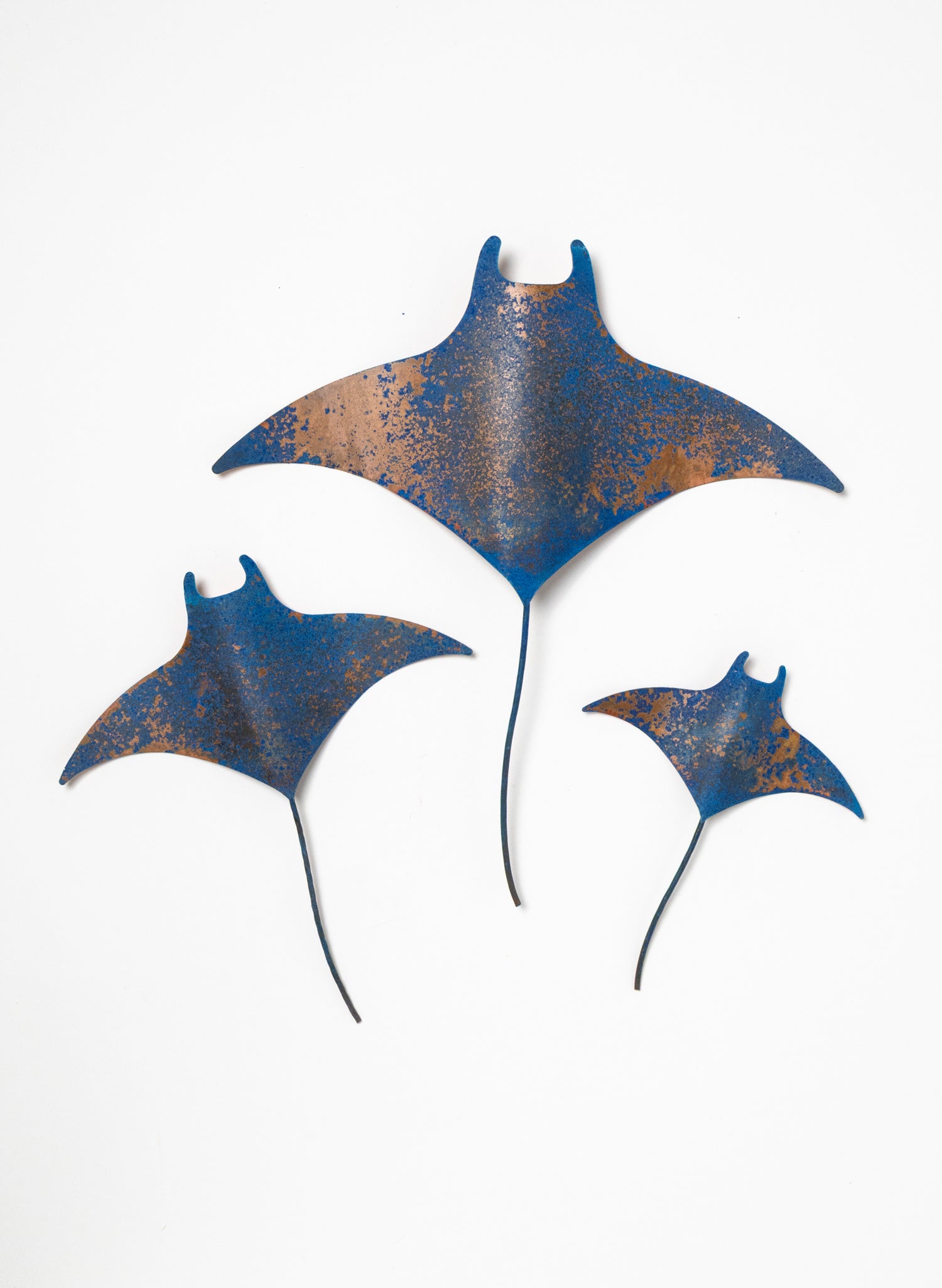 Manta Ray - Set of 3