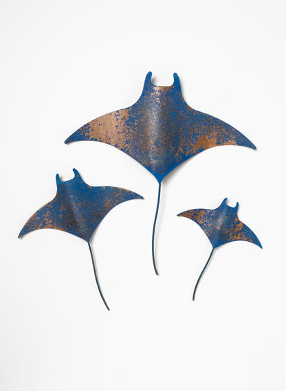Manta Ray - Set of 3