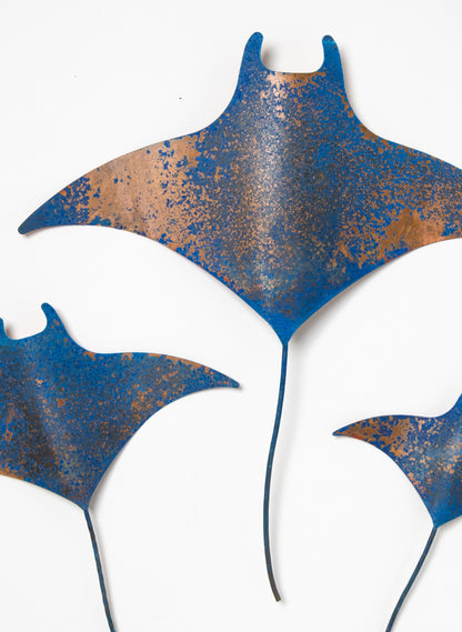 Manta Ray - Set of 3