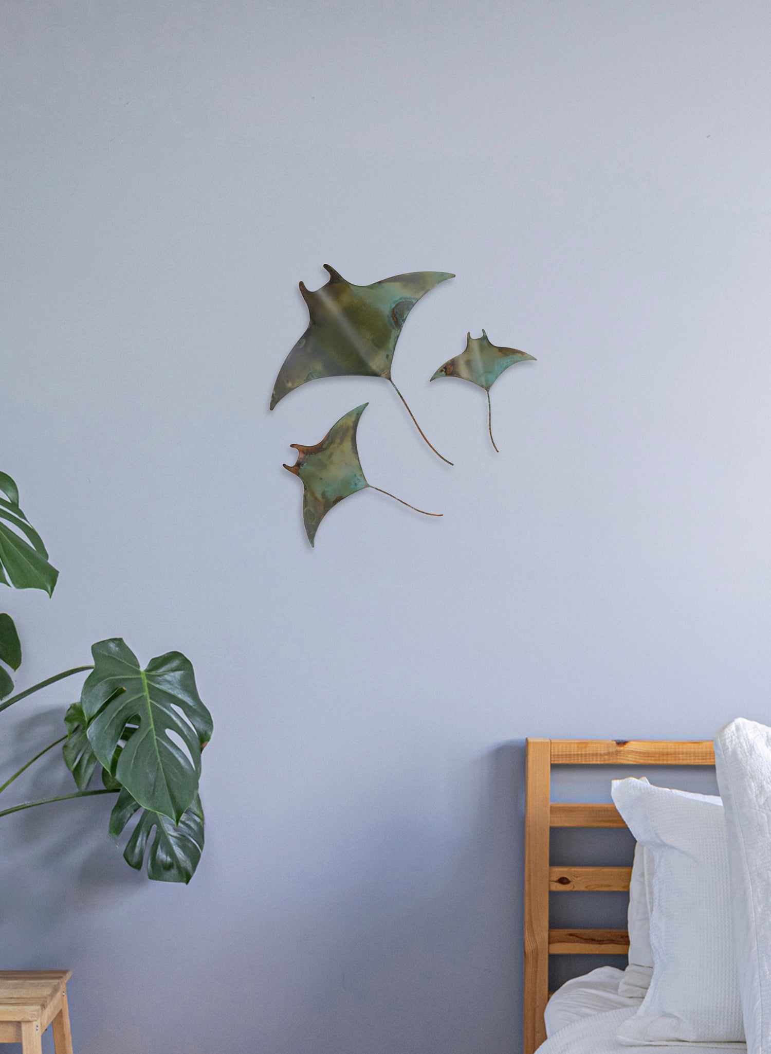Manta Ray - Set of 3