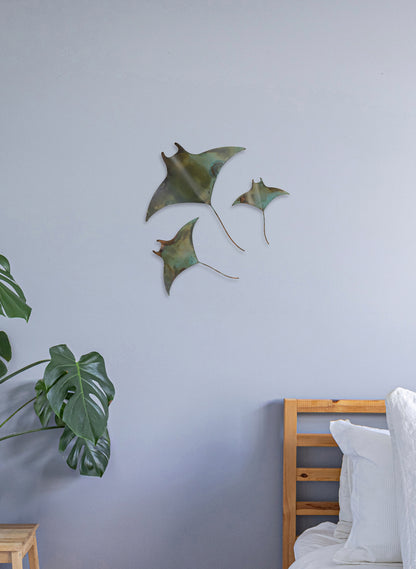 Manta Ray - Set of 3