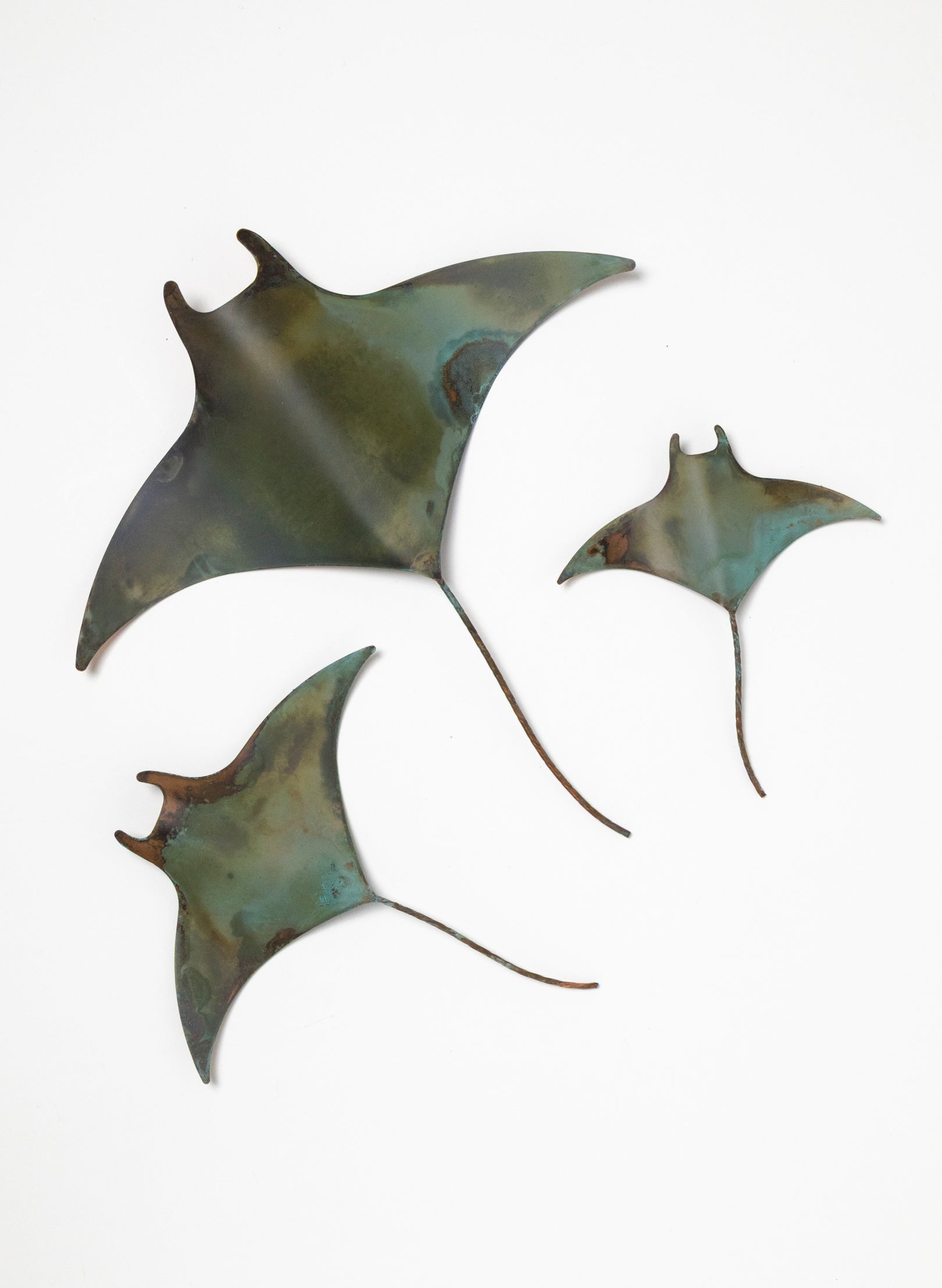 Manta Ray - Set of 3