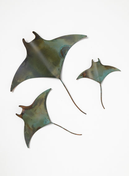 Manta Ray - Set of 3