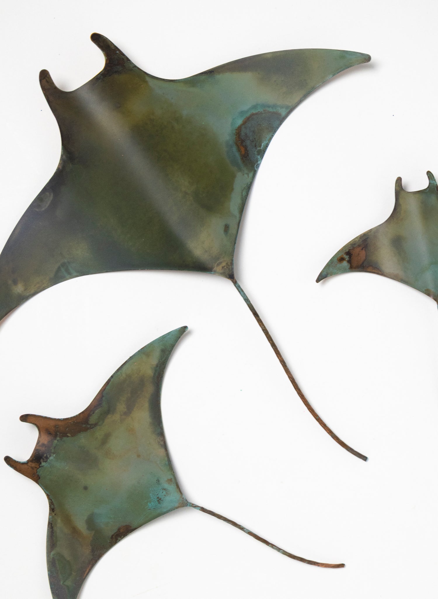 Manta Ray - Set of 3