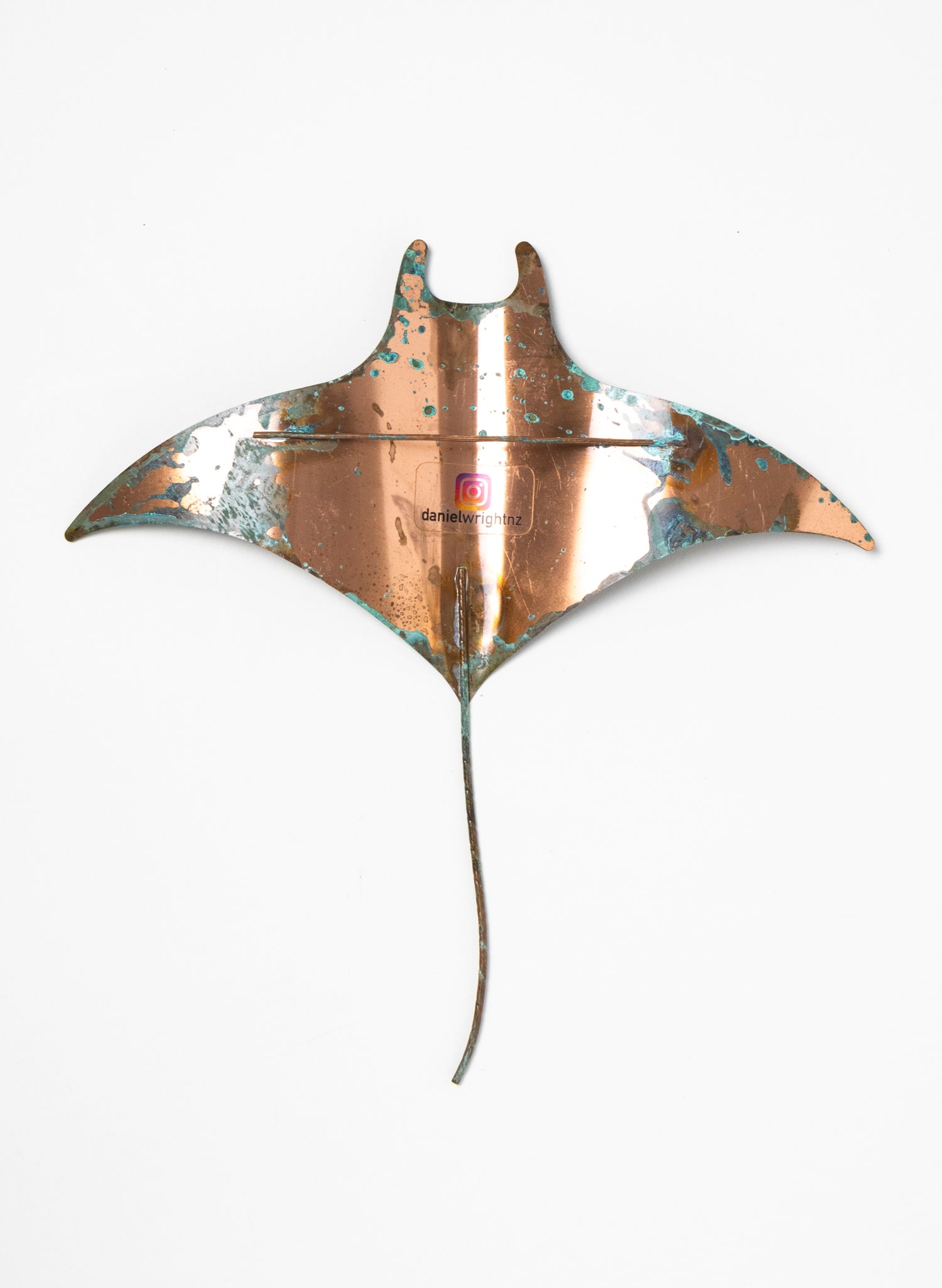 Manta Ray - Set of 3