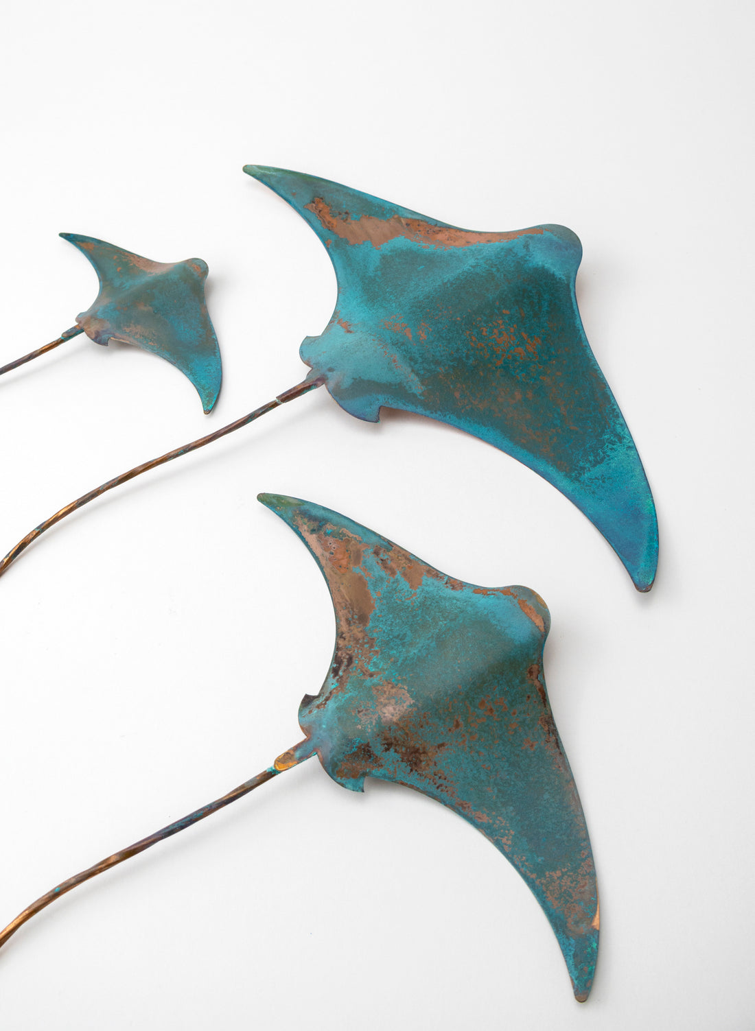 Stingray - Set of 3