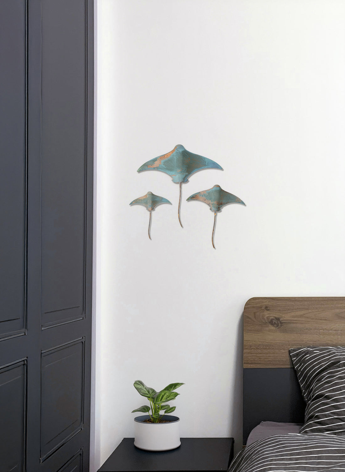 Stingray - Set of 3