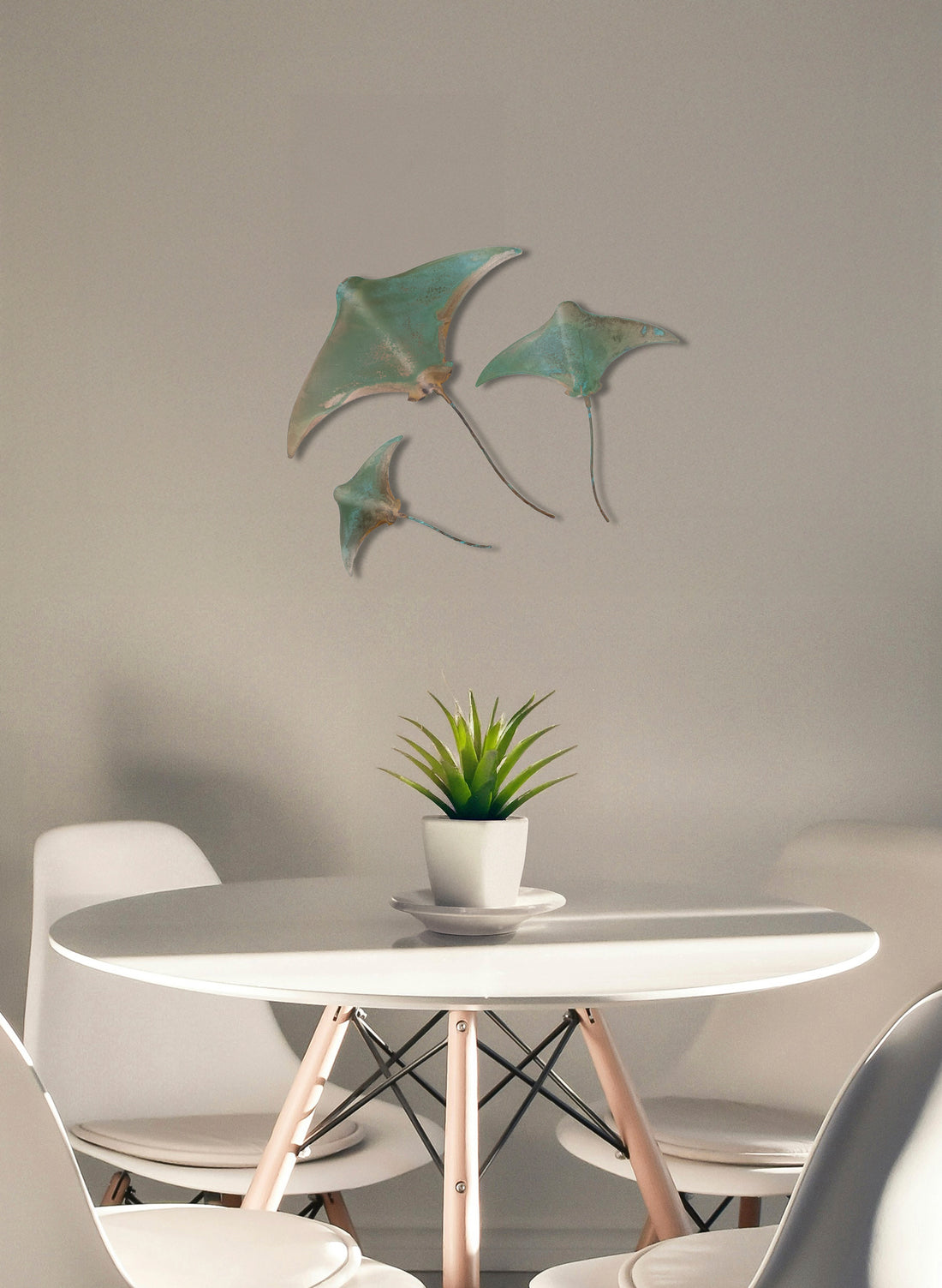 Stingray - Set of 3