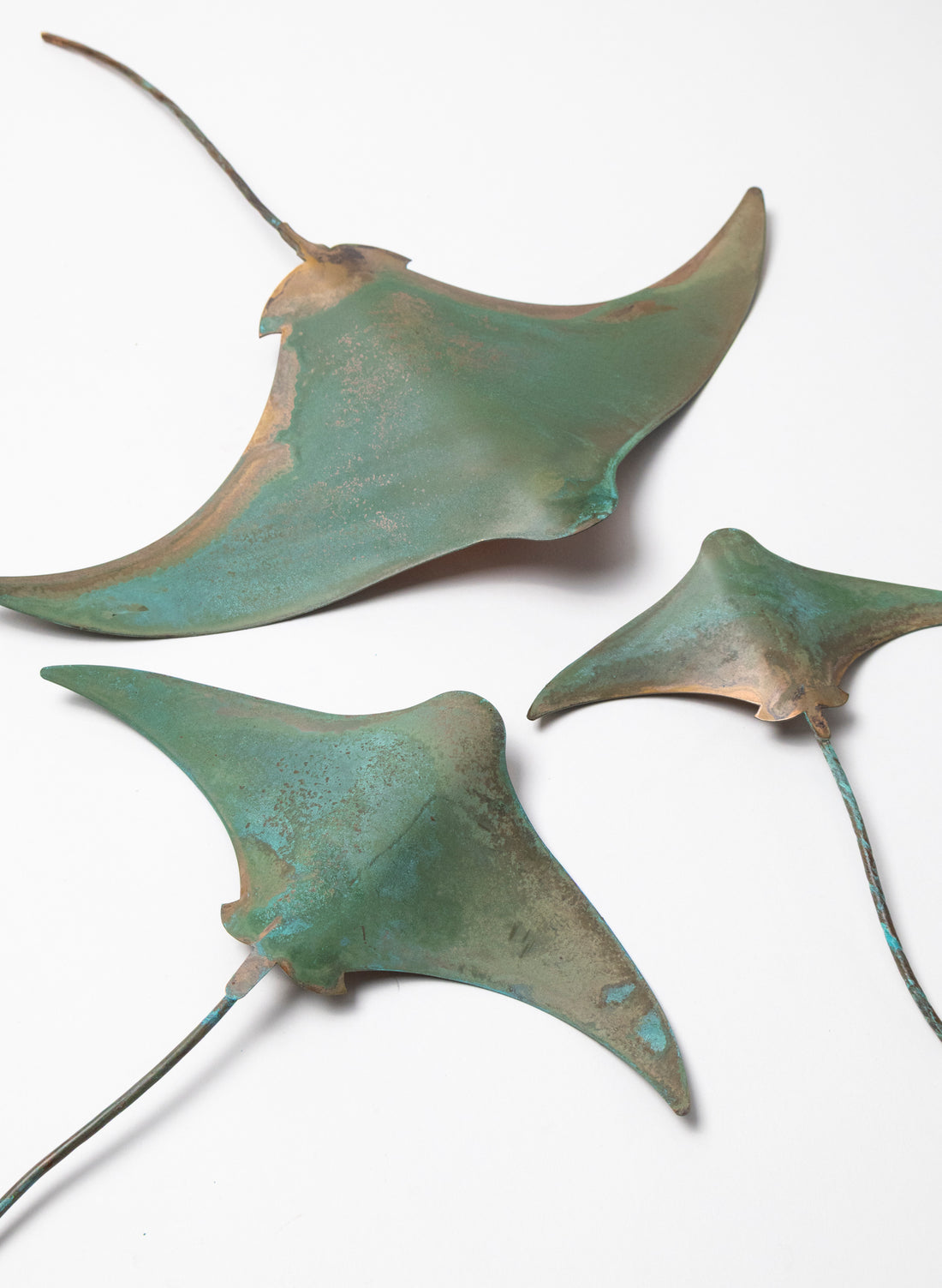 Stingray - Set of 3