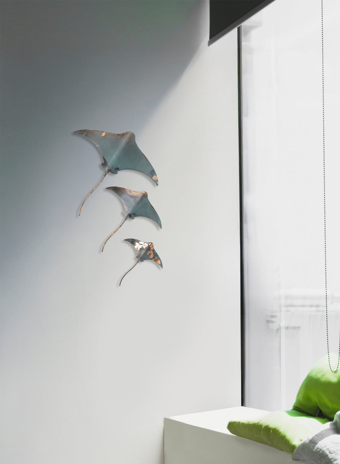 Stingray - Set of 3
