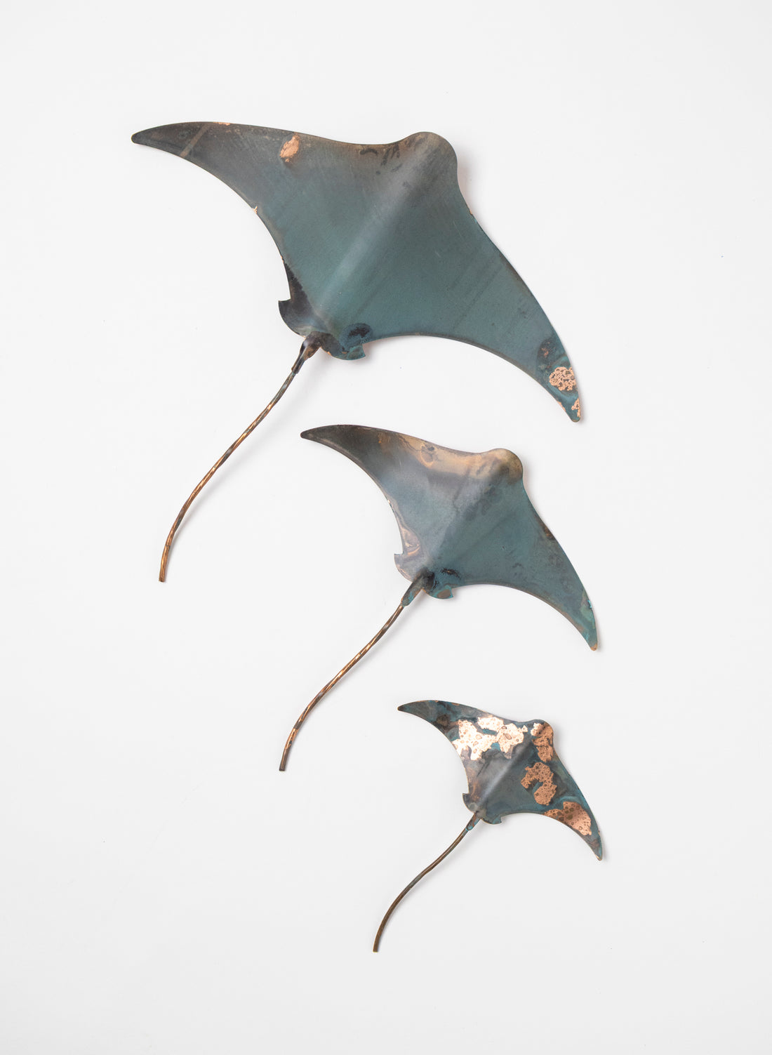 Stingray - Set of 3