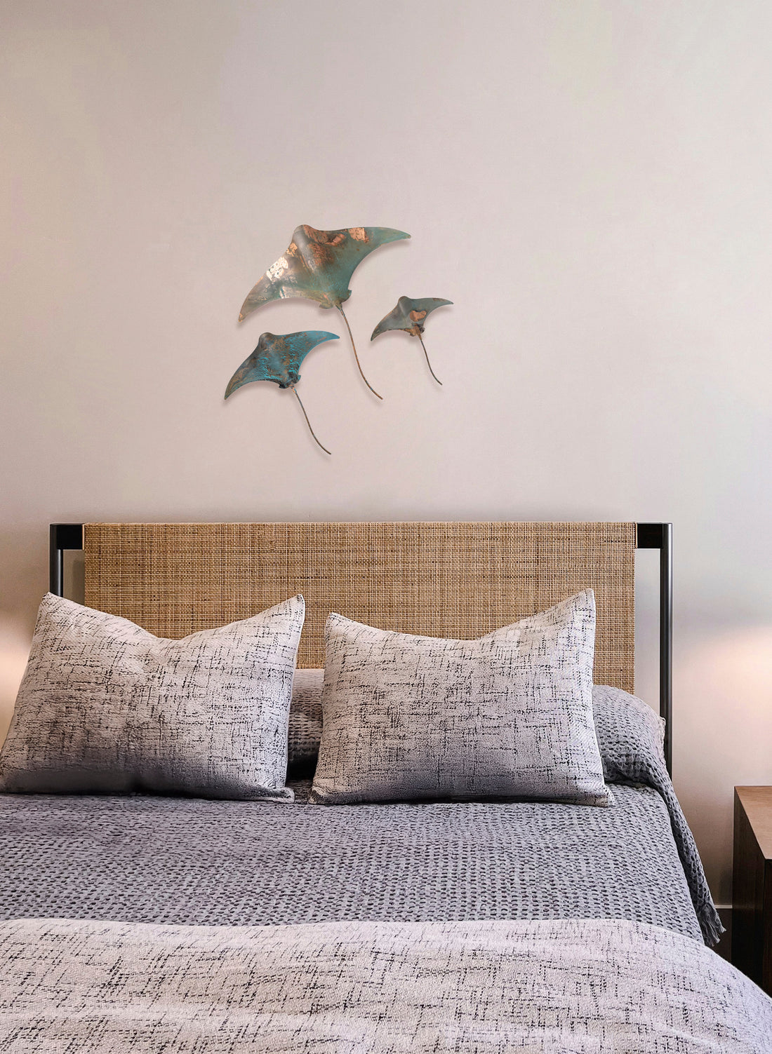 Stingray - Set of 3