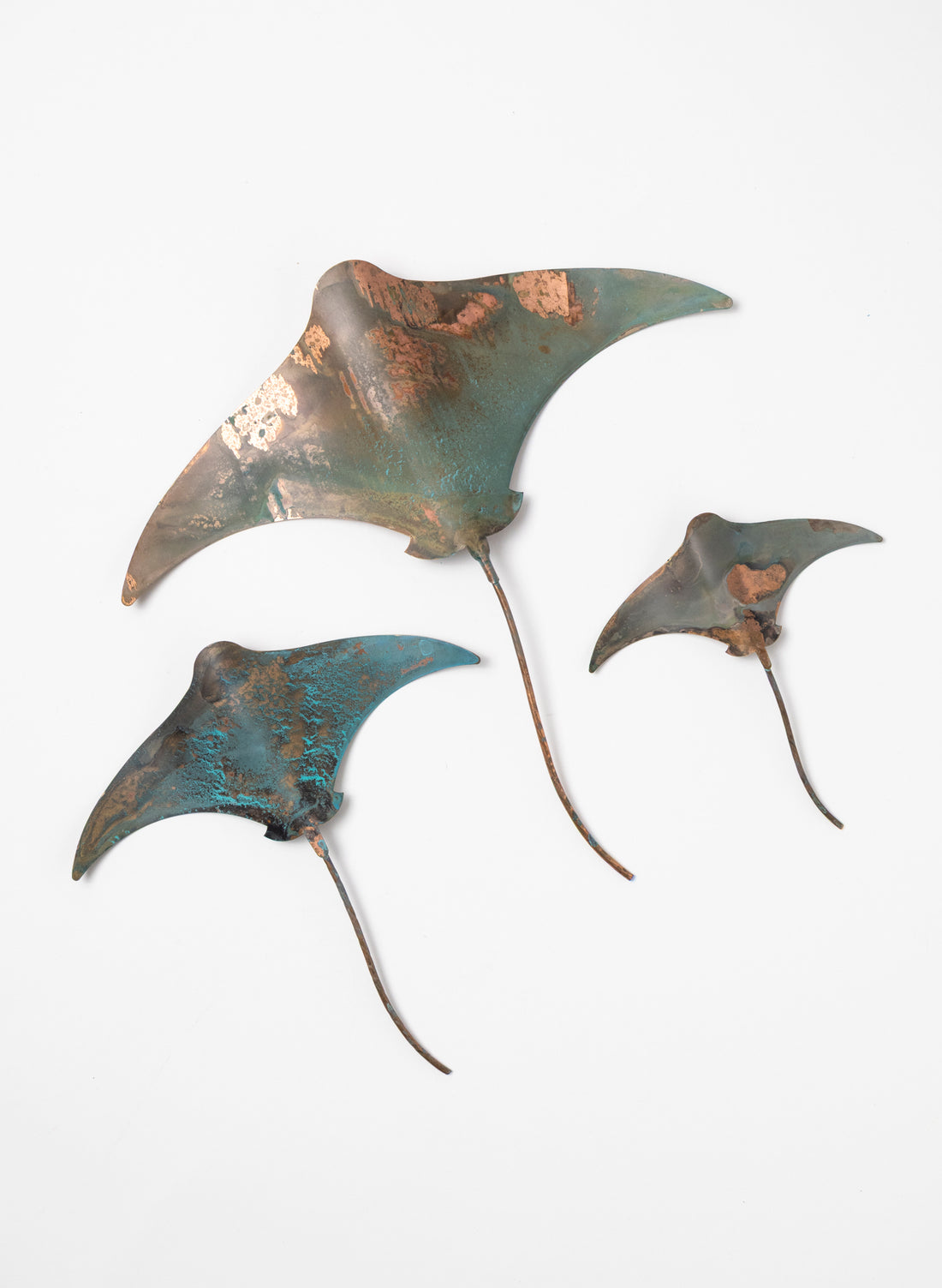 Stingray - Set of 3