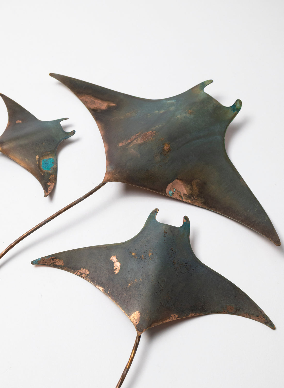Manta Ray - Set of 3