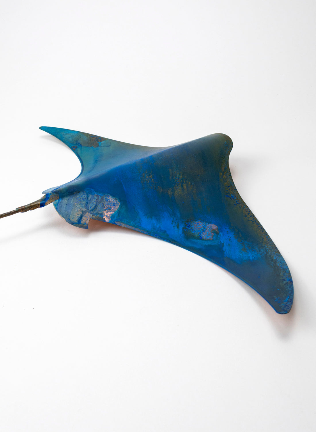 Stingray - XL
