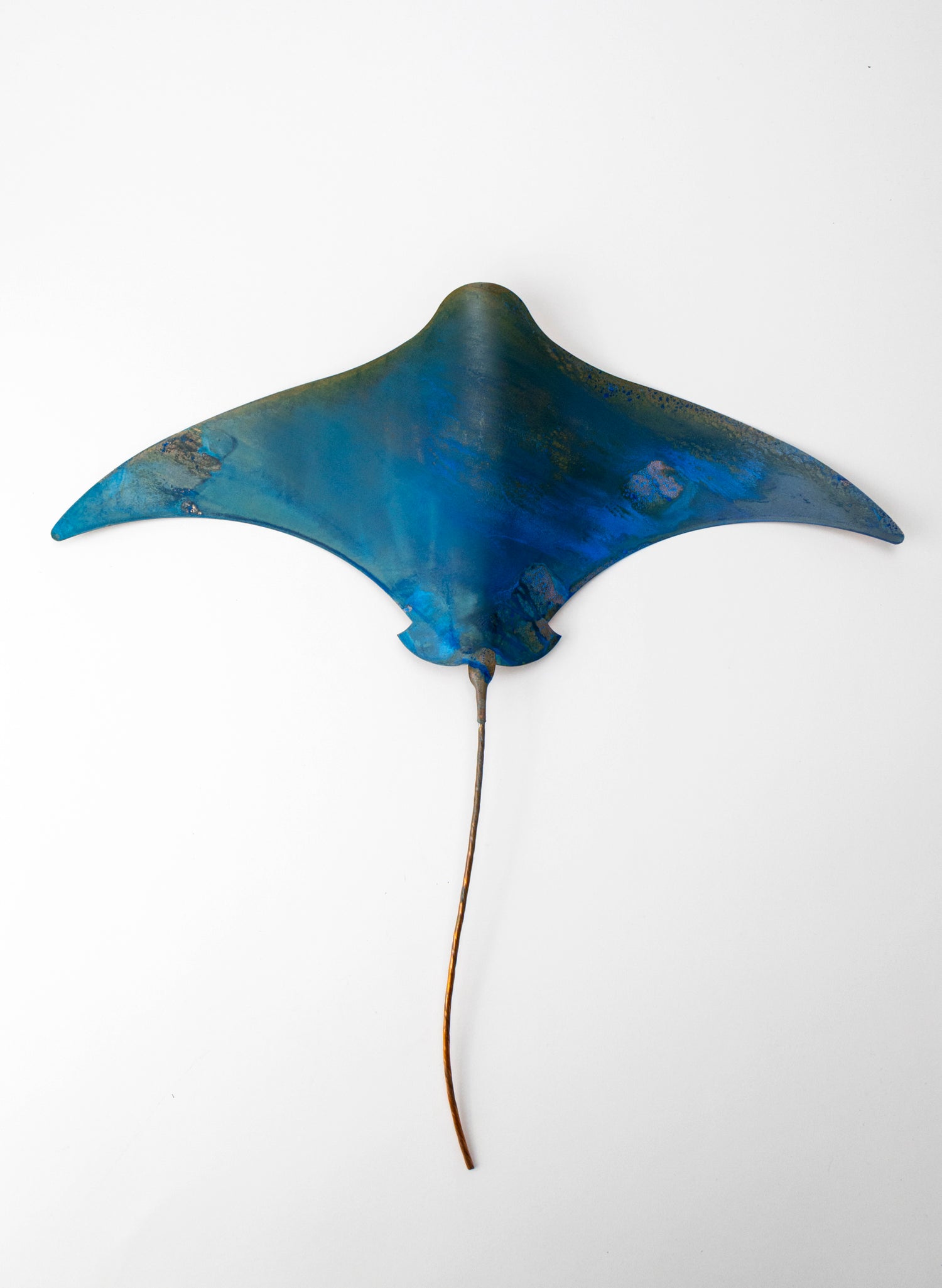 Stingray - XL