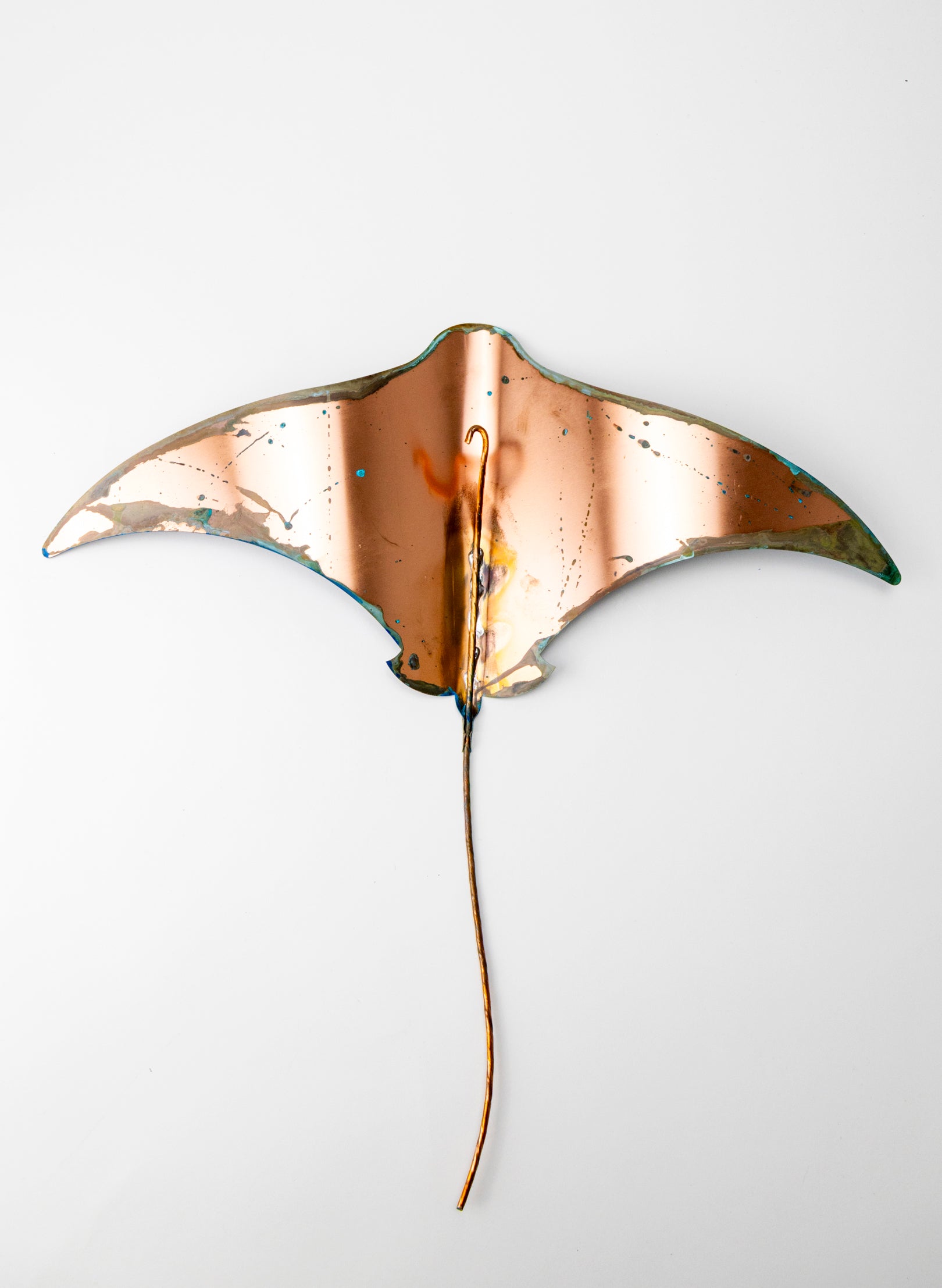 Stingray - XL