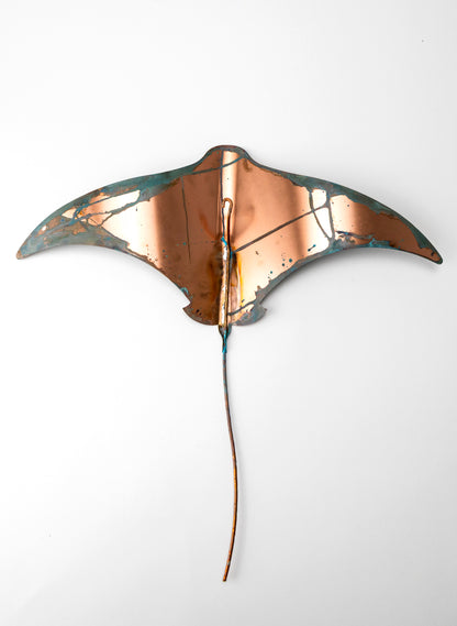 Stingray - XL