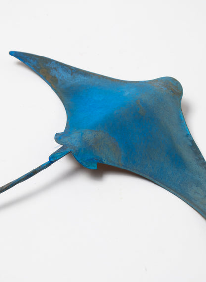 Stingray - Medium