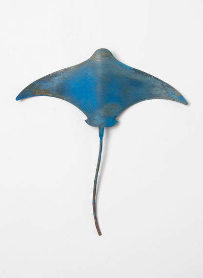 Stingray - Medium