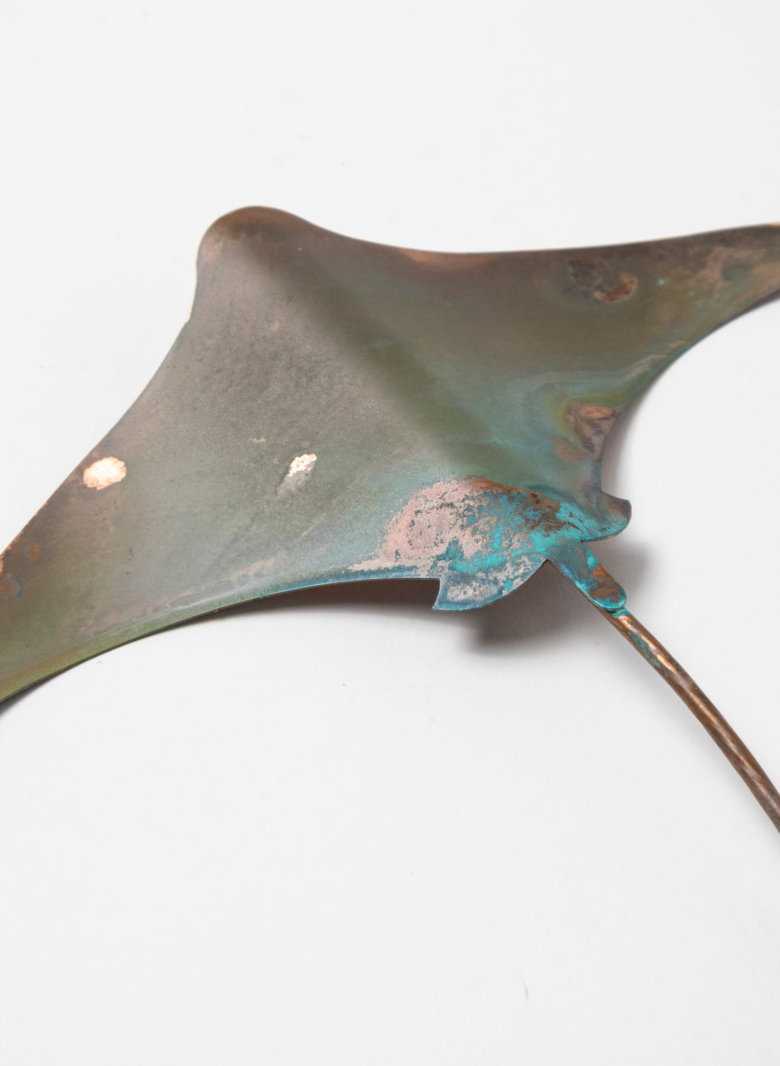 Stingray - Medium
