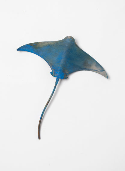 Stingray - Small