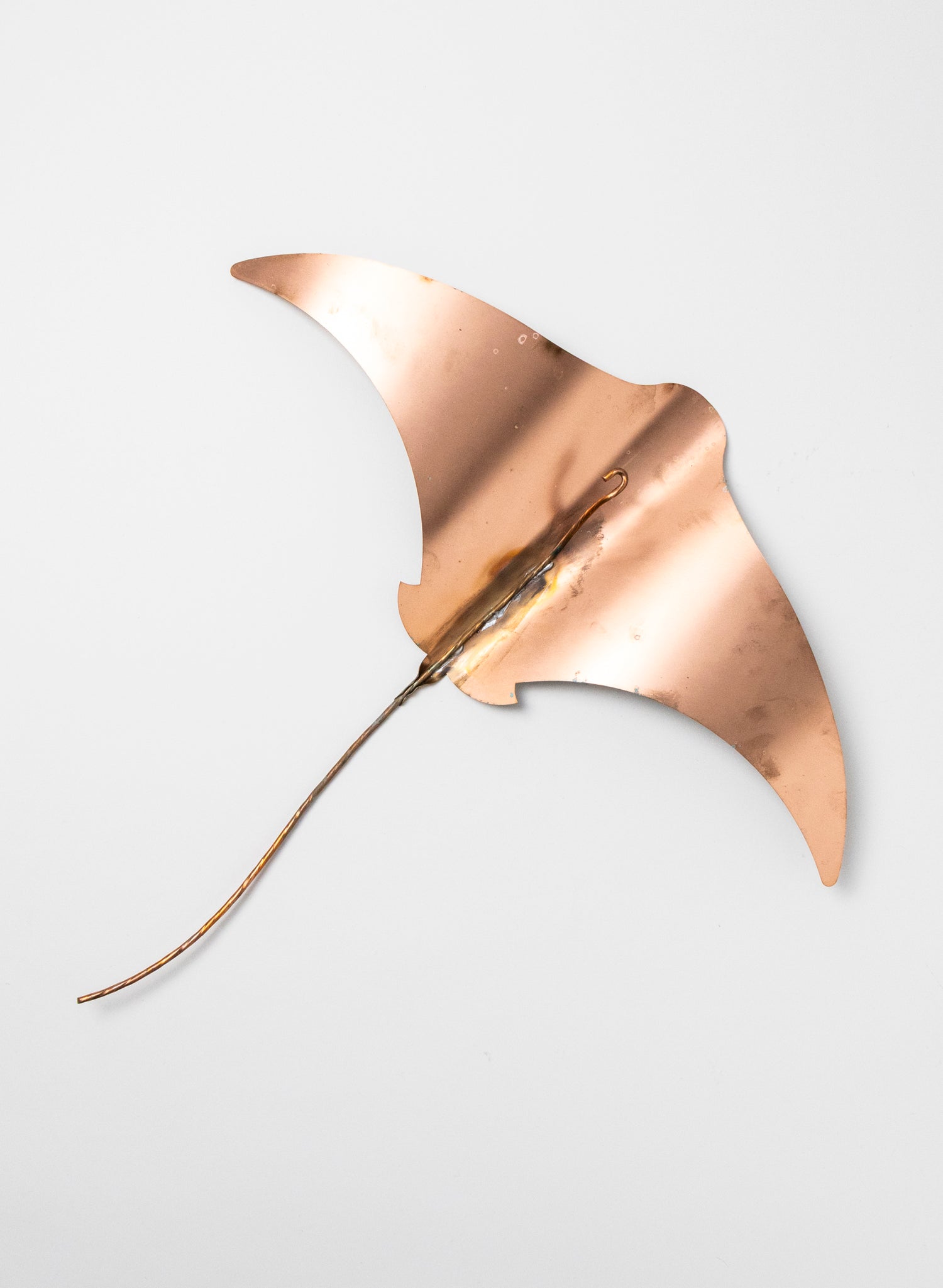 Sting Ray - Set of 4