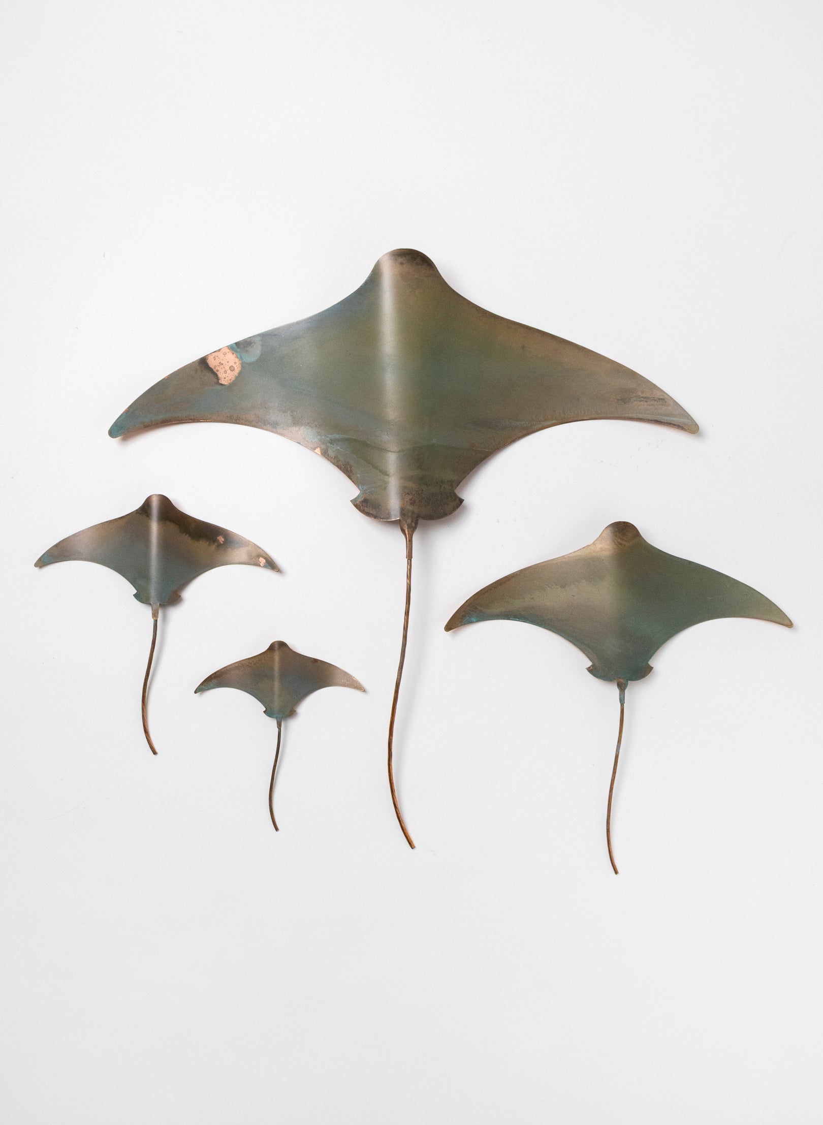 Sting Ray - Set of 4