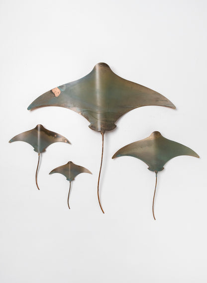 Sting Ray - Set of 4