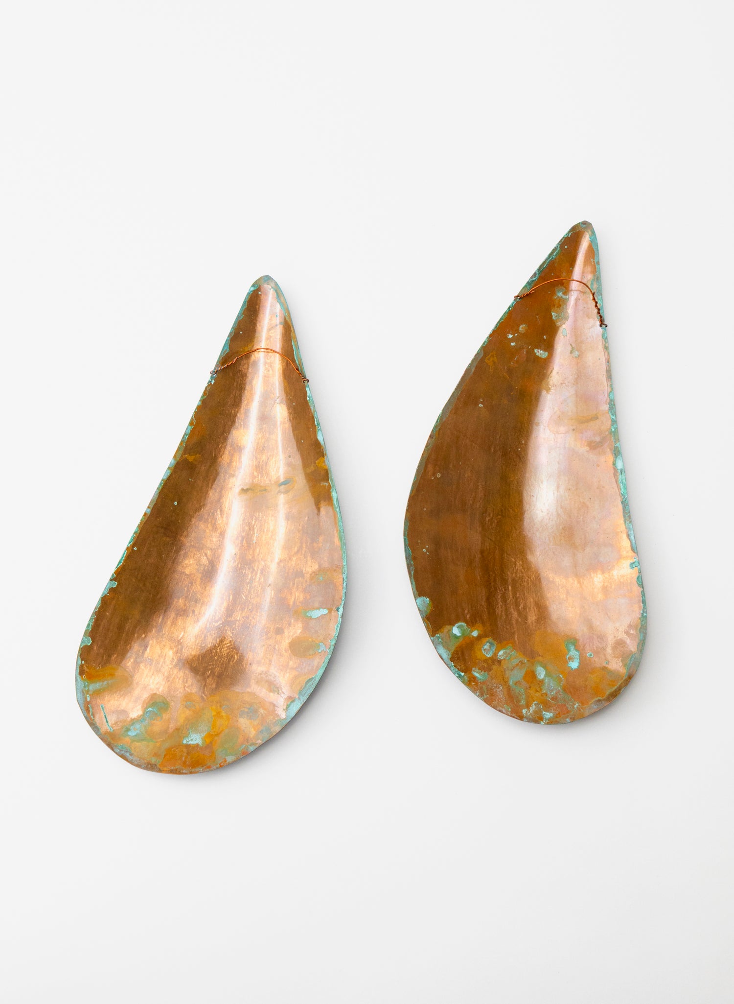 Mussel Pair