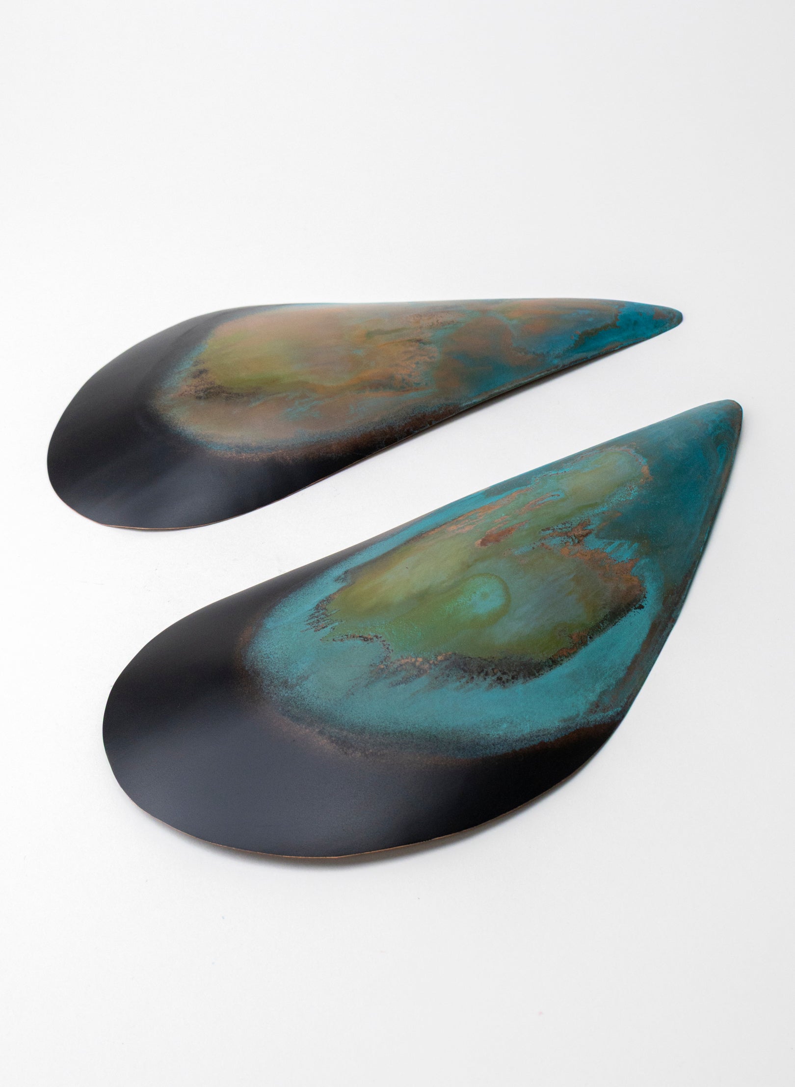 Mussel Pair