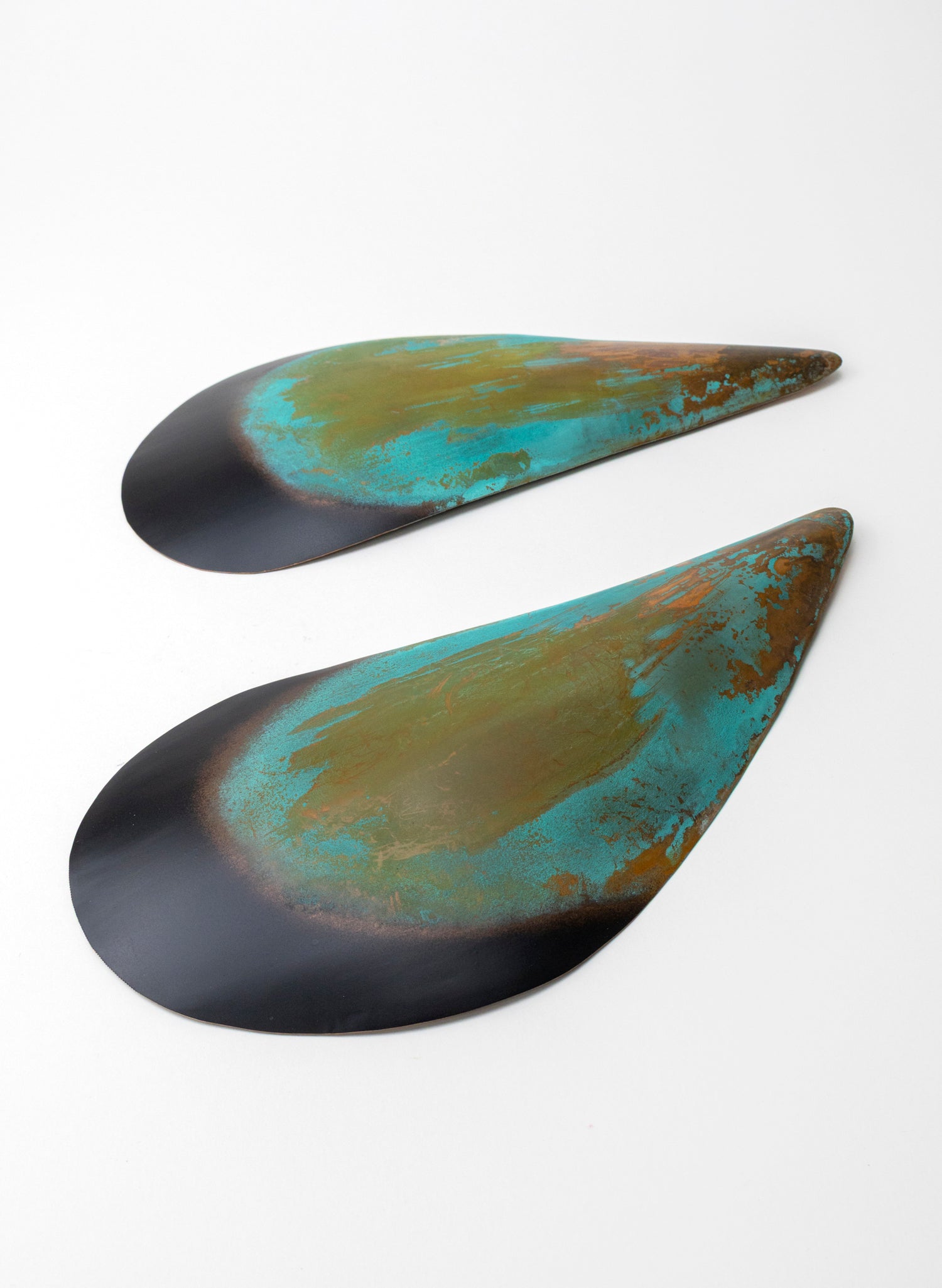 Mussel Pair
