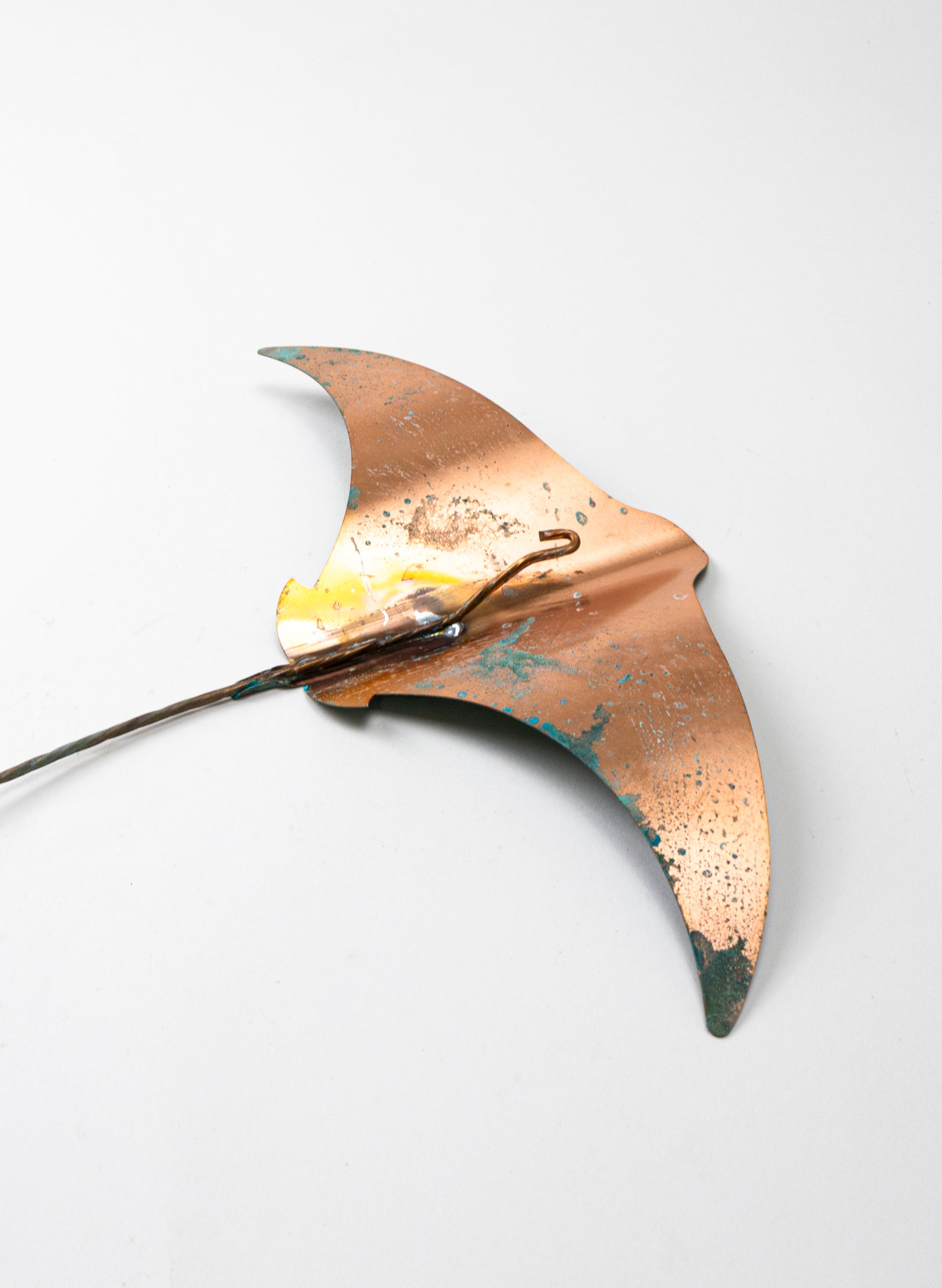 Stingray - Set of 3