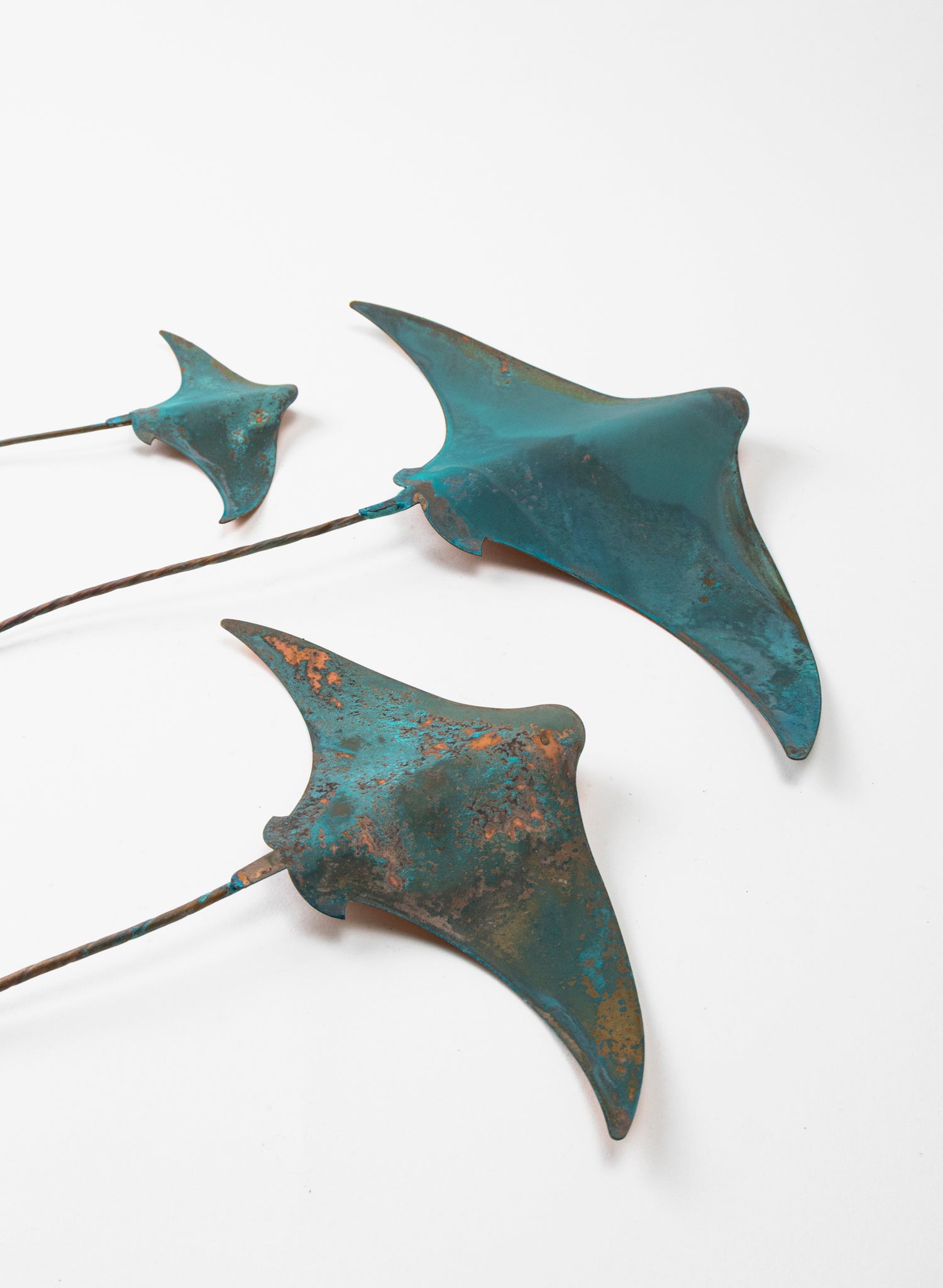 Stingray - Set of 3