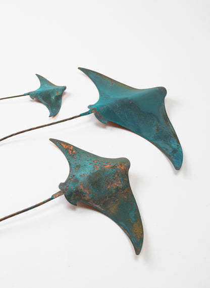 Stingray - Set of 3